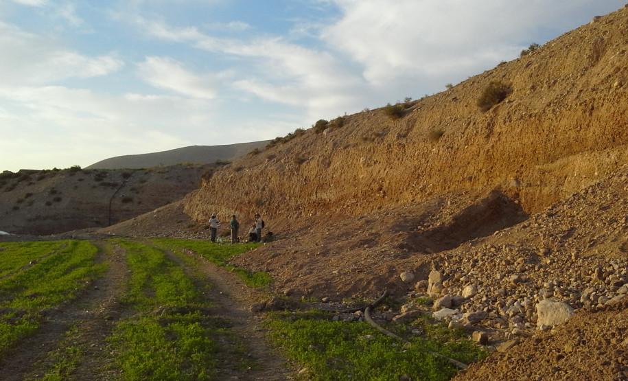 Corte 334 inferior, 2015.