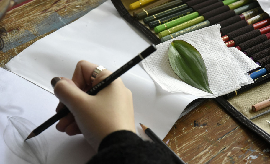 Curso de Ilustração botânica do MCAA.